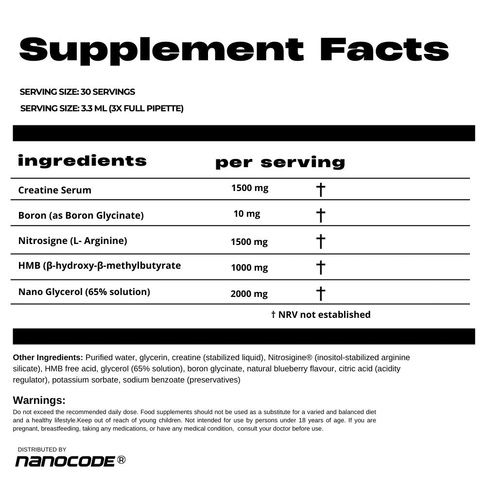 NANO PUMP